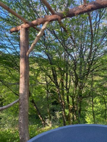 チュールDomaine De Bourbacoupアパートメント エクステリア 写真